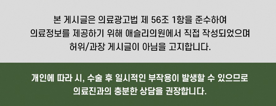 본문 내용을 보조하는 이미지
