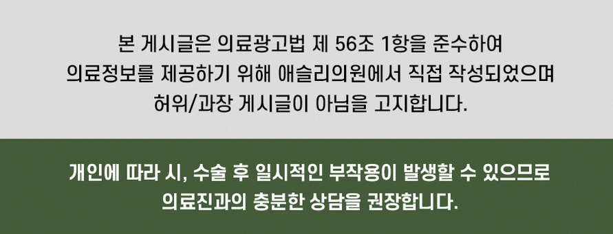 본문 내용을 보조하는 이미지