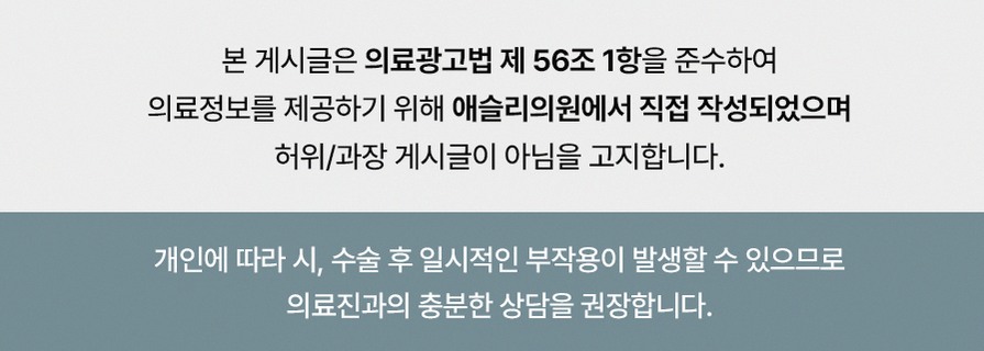 본문 내용을 보조하는 이미지