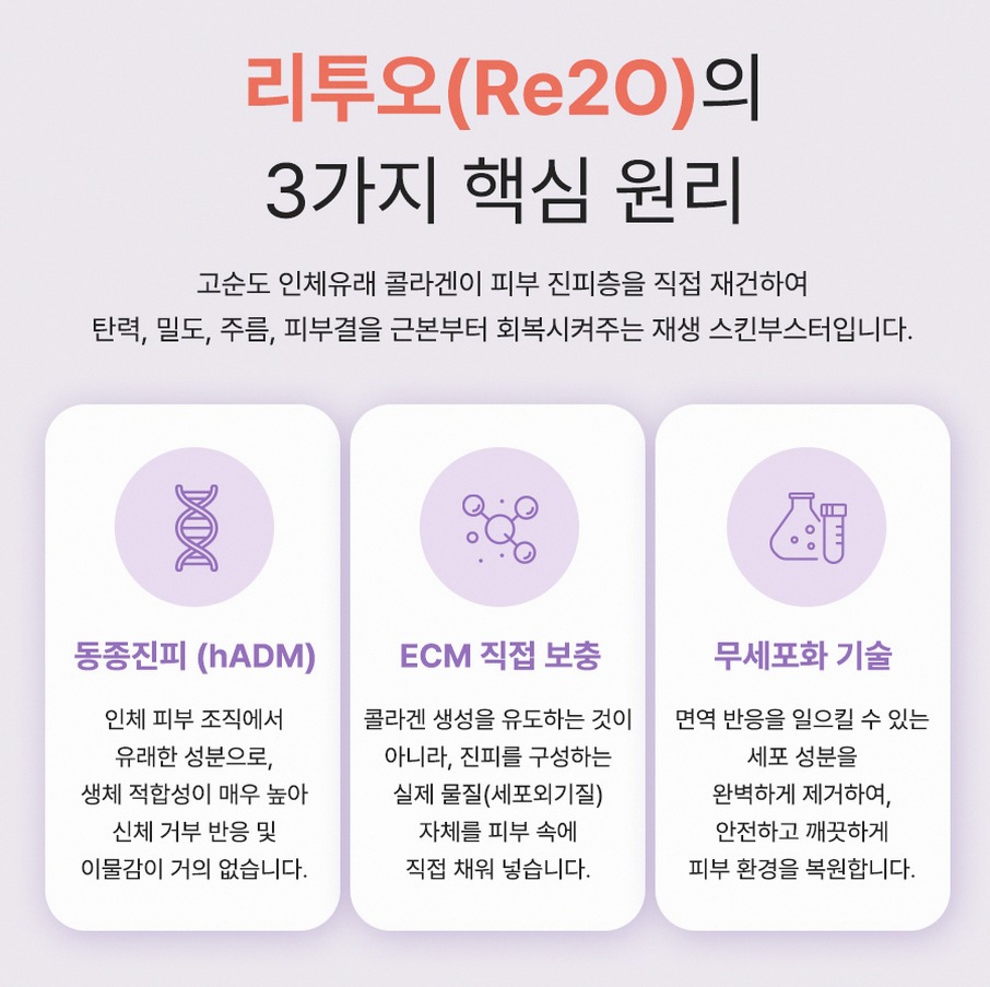 본문 내용을 보조하는 이미지