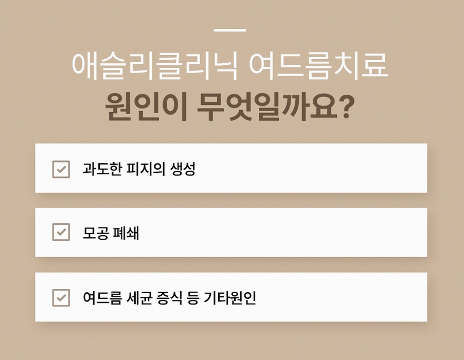 본문 내용을 보조하는 이미지