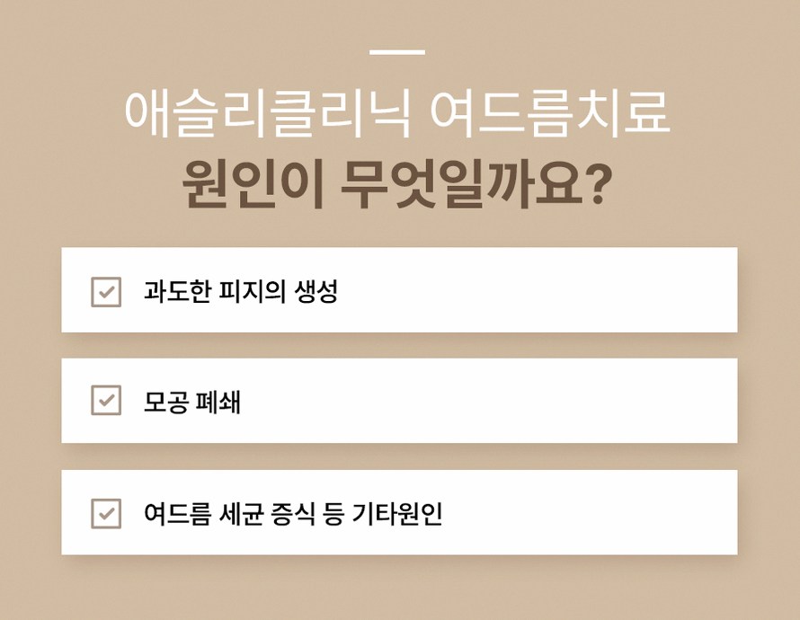 본문 내용을 보조하는 이미지