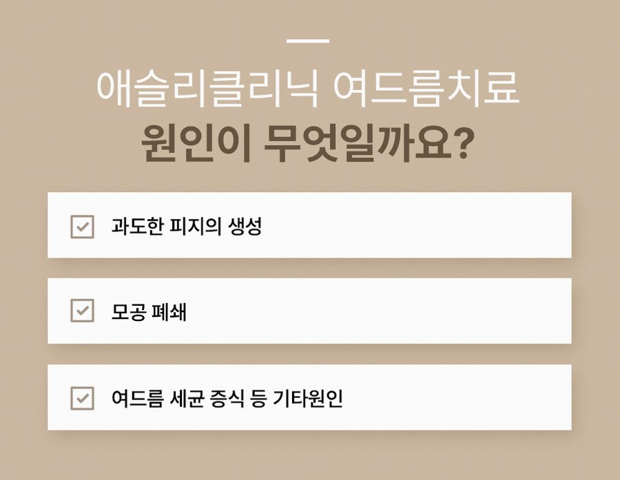 본문 내용을 보조하는 이미지