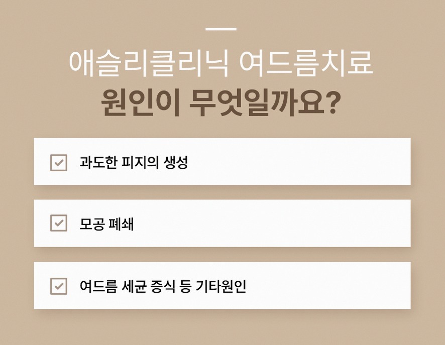 본문 내용을 보조하는 이미지