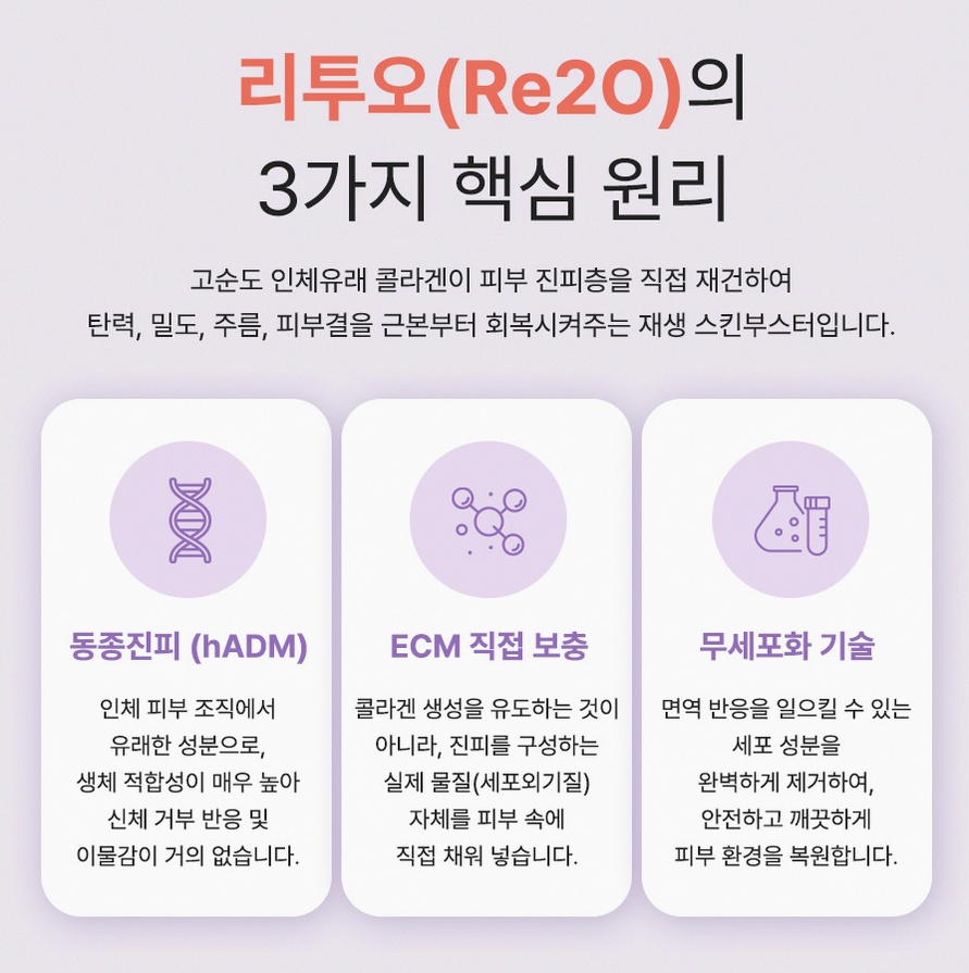 본문 내용을 보조하는 이미지