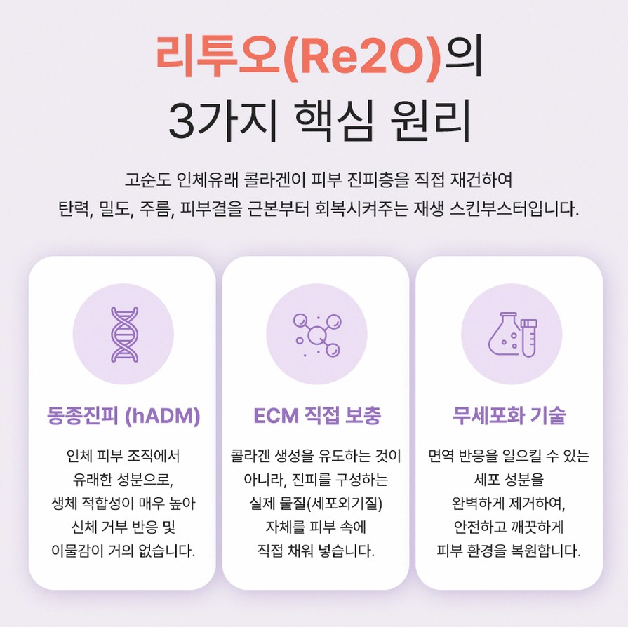 본문 내용을 보조하는 이미지
